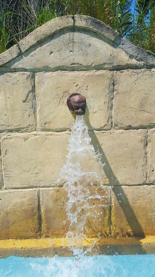 Le Jas Des Parpaillous Apartamento LʼIsle-sur-la-Sorgue Exterior foto